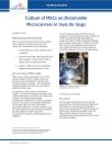 Culture of MSCS on Dissolvable Microcarriers in VueLife® Bags