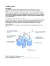 Cold Storage Transport
