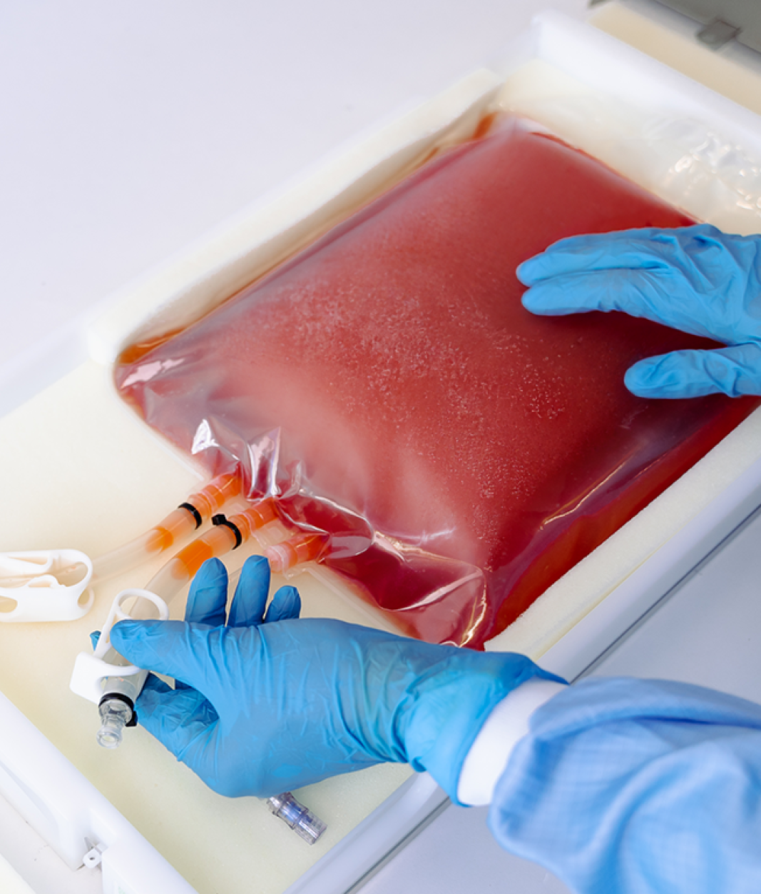 Cold Storage Bags