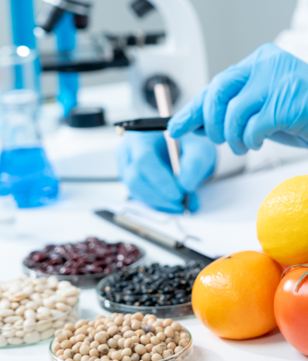 Sustainable Nutrition