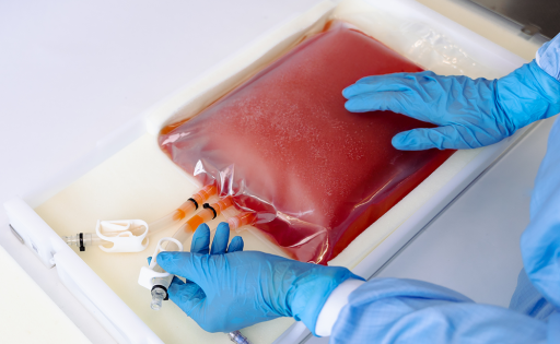 Cold Storage Bags