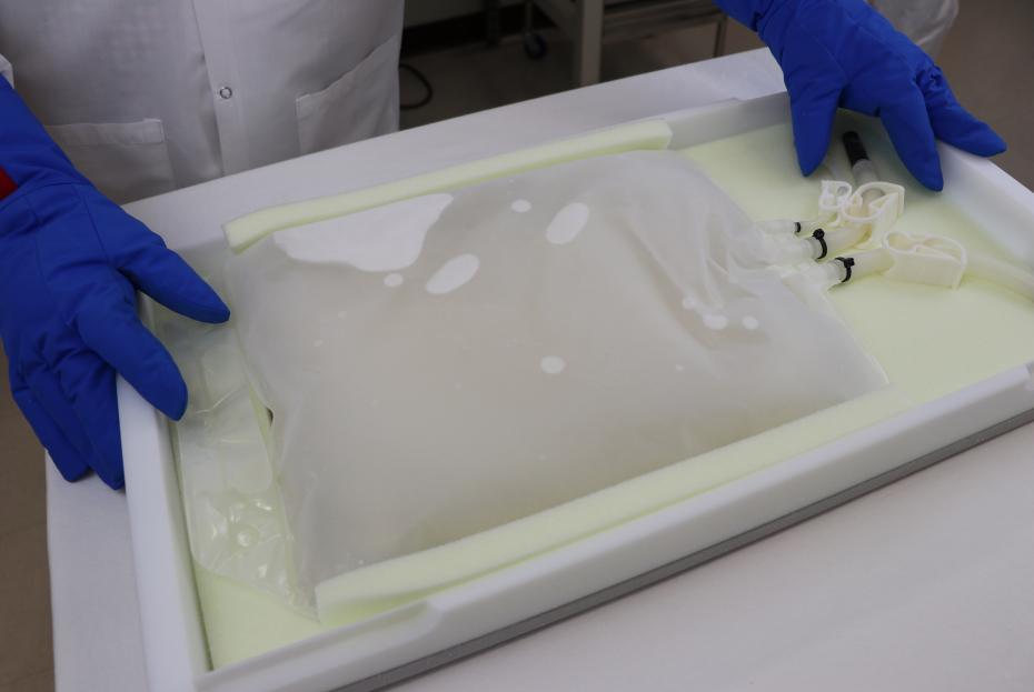 Cold Storage Bags