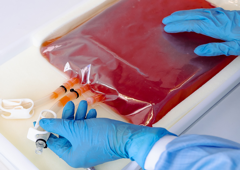 Cold Storage Bags