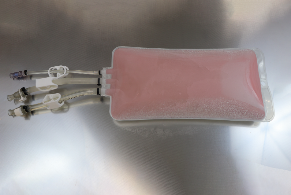 Cold Storage Bags