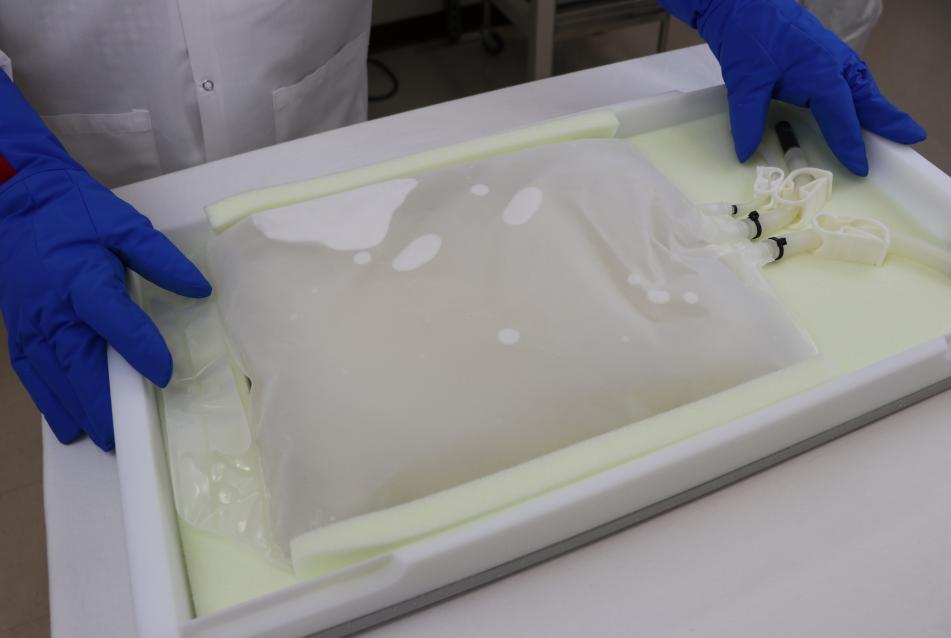 Cold Storage Bags
